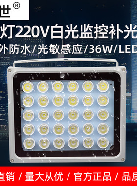 顶世LED白光补光灯 30灯220V高亮辅助灯 道闸道路小区交通36W防雨