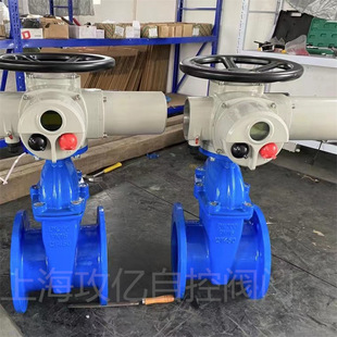 法兰排水闸阀 DN300软密封闸阀 球墨铸铁弹性暗杆闸阀 16Q Z945X
