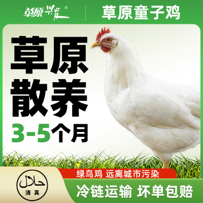 礼盒内蒙古鸡肉草原兴发