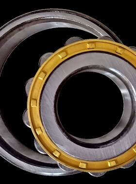 日本NSK进口轴承N313 N314 N315 N316 N317 N318 N319 N320 N321W