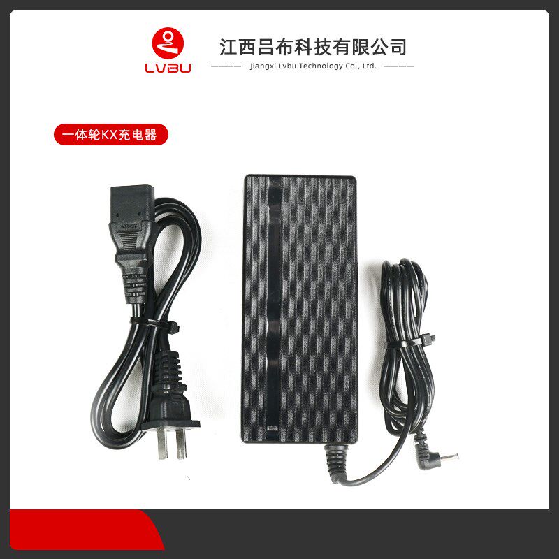 吕布云轮专用KF KD BZ KX充电器 自行车电动改装零配件锂电充电器