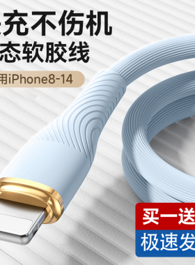 驯龙师 适用于iPhone14苹果13充电器线12数据线iPad平板xr/xs加粗加长两米usb车载手机typec转lightning通用