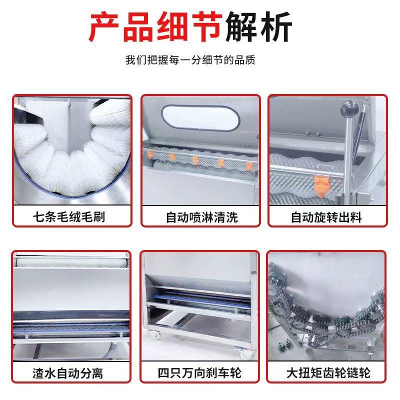 土豆萝卜毛辊清洗机 红薯去泥去皮设备 鲜姜毛刷清洗去皮机