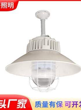 仓库LED防爆灯圆形50W厂房工矿灯车间照明加油站化工厂专用三防灯