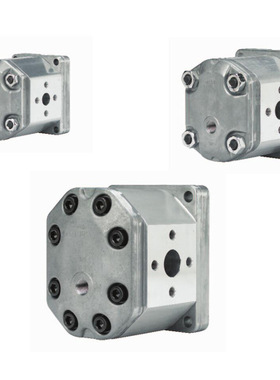 GHPA4-D-300 GHPI4-D-130 GHPI4-D-160齿轮泵 马祖奇MARZOCCHI