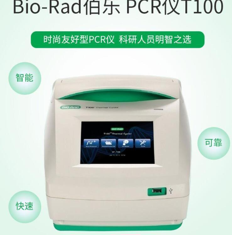 平价进口 伯乐T100型梯度PCR仪 Bio-rad伯乐T100