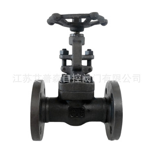 A105锻钢高温高压法兰导热油锅炉电站法兰闸阀Z41H 160