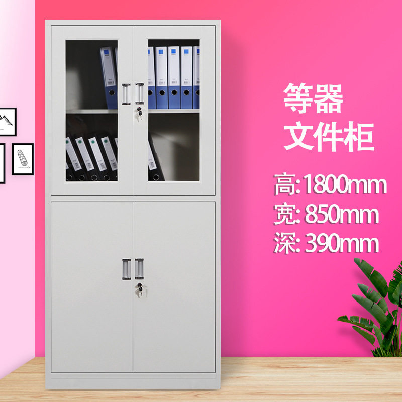 办公室文件柜铁皮柜资料柜档案柜财务凭证柜带锁储物柜员工更衣柜