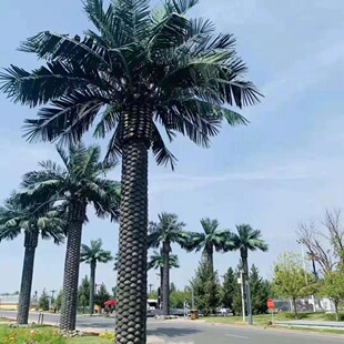 仿真植物加拿利海枣树海藻假树厂家玻璃钢水泥树植物造景观树