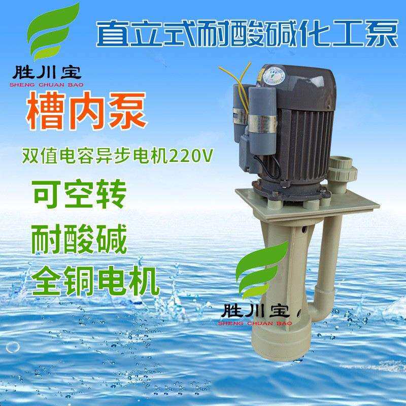 胜川宝立式塑料液下泵微型槽内立式泵220V化工泵离心泵
