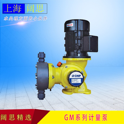 南方赛珀计量泵GM0240PQ1MNN加药计量泵工程塑料泵污水机械隔膜泵