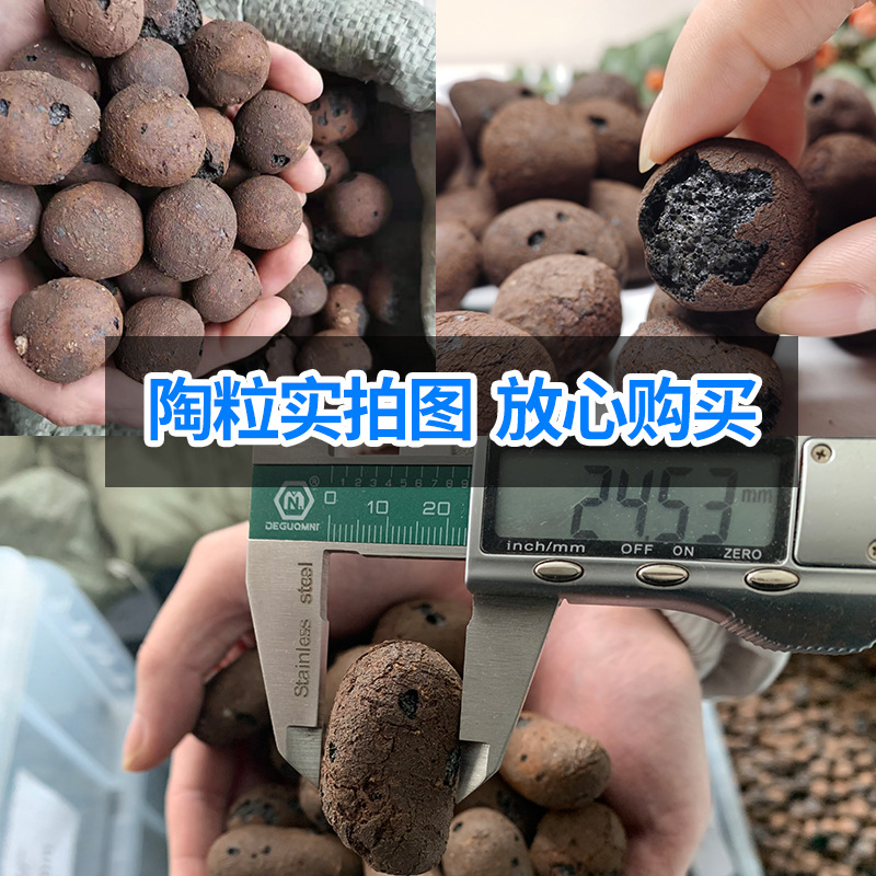 厂家供货1-3cm陶粒批发轻质保温 厕所回填屋顶保温 就近发货