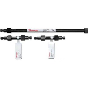 Thermo赛默飞MAbPac SCX-10 HPLC色谱柱085198