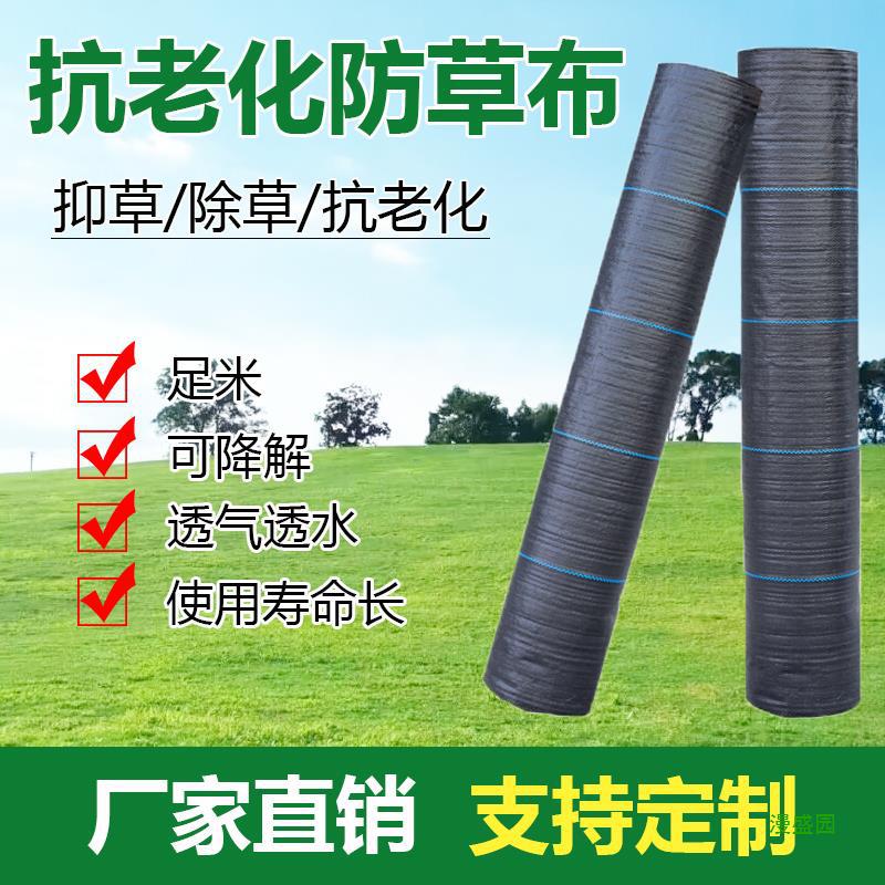 盖草抑膜除草布透气园艺地布果园草地果树抗老化保湿防草布耐用