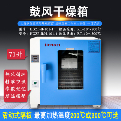 跃进恒字牌HGZF-II/H-101-1数显鼓风干燥箱 70升实验室小型烘干箱