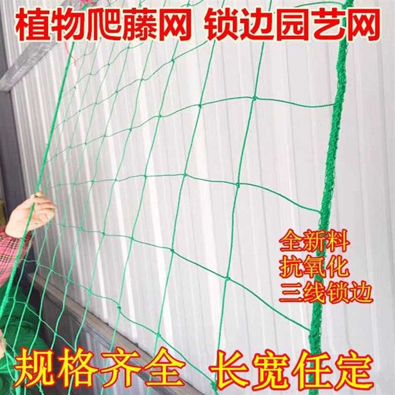 蔷薇爬墙网葡萄架爬藤网种植网植物固定网月季园艺种菜攀爬搭架。