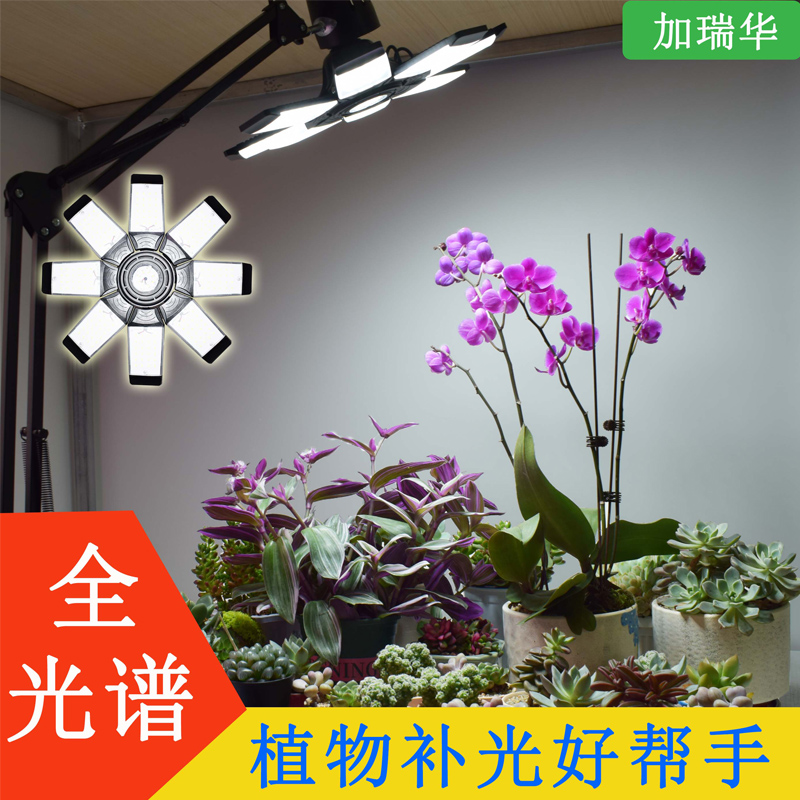 仿太阳光全光谱植物补光灯阳台支架G室内养兰花卉月季植物生长灯