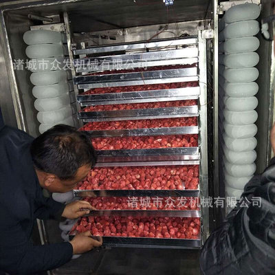 生产玫瑰花秋葵真空冻干机 食品果蔬冻干设备 水果类冻干机