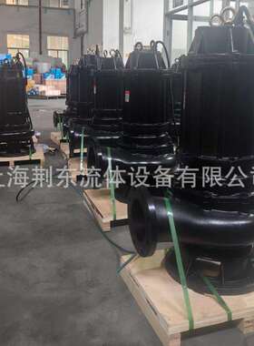 100口径潜污泵JYWQ无堵塞排污泵耦合装置潜水泵100WQ65-18-5.5