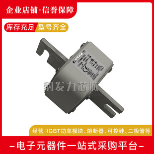 170M6170 170M6169 170M6171全新熔断器现货 170M6168 170M6167