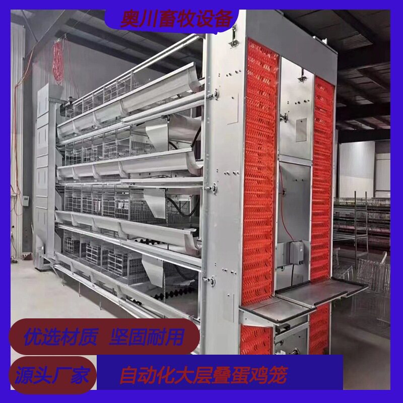 全自动蛋鸡笼层叠式养鸡设备加密加粗自动化大层叠蛋鸡笼养殖笼子