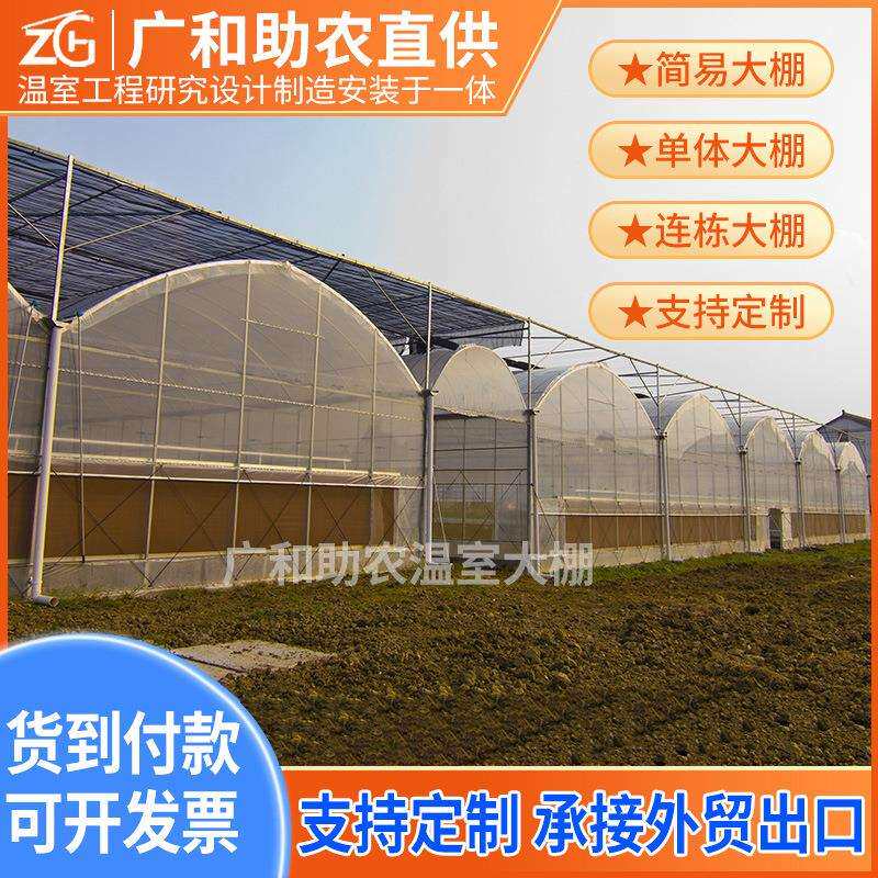 大棚连栋蔬菜养育种植大棚栽培花卉钢架温室大棚薄膜大棚