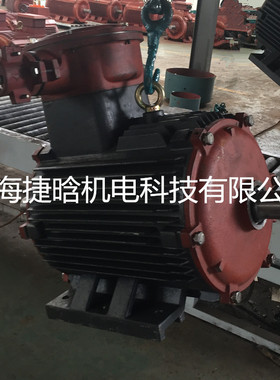 YB3-180L-4隔爆22KW B3\F\IP55\ExdIICT4 二级能效三相异步电机