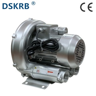 2RB410 机械设备用吹水干燥高压鼓风机 A21单相220V1.3KW1300W灌装