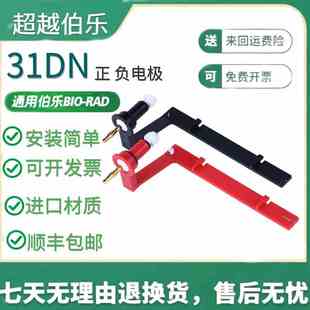 31DN电泳槽电极条红黑正负电极六一通用国产