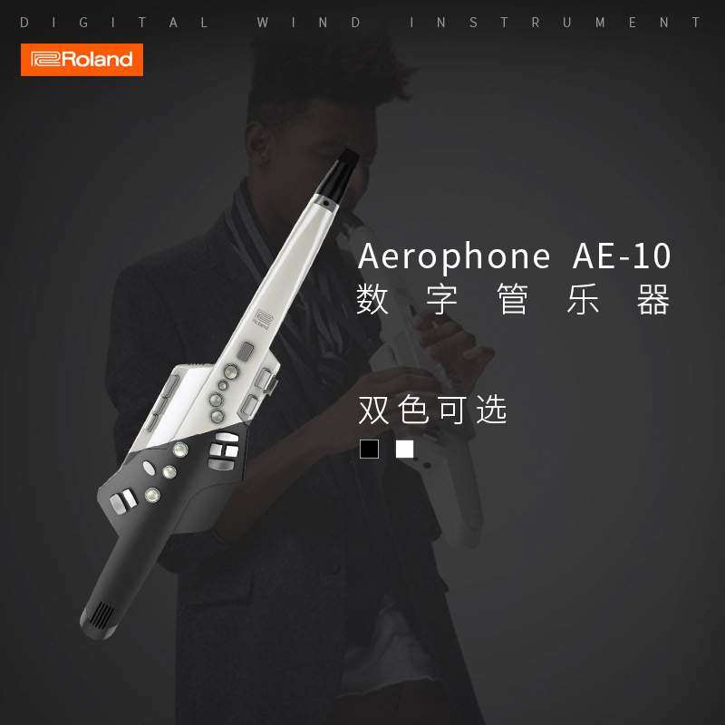 Roland罗兰电吹管AE01c AE-20 AE-05 AE-30成人电萨克斯风 管乐器,鲜花速递/花卉仿真/绿植园艺,割草机/草坪机,淘宝优惠券,粉丝福利购,淘宝优惠卷