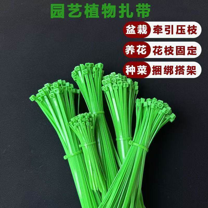 种菜月季藤类园林植物彩色塑料一次性绿色园艺尼龙扎带