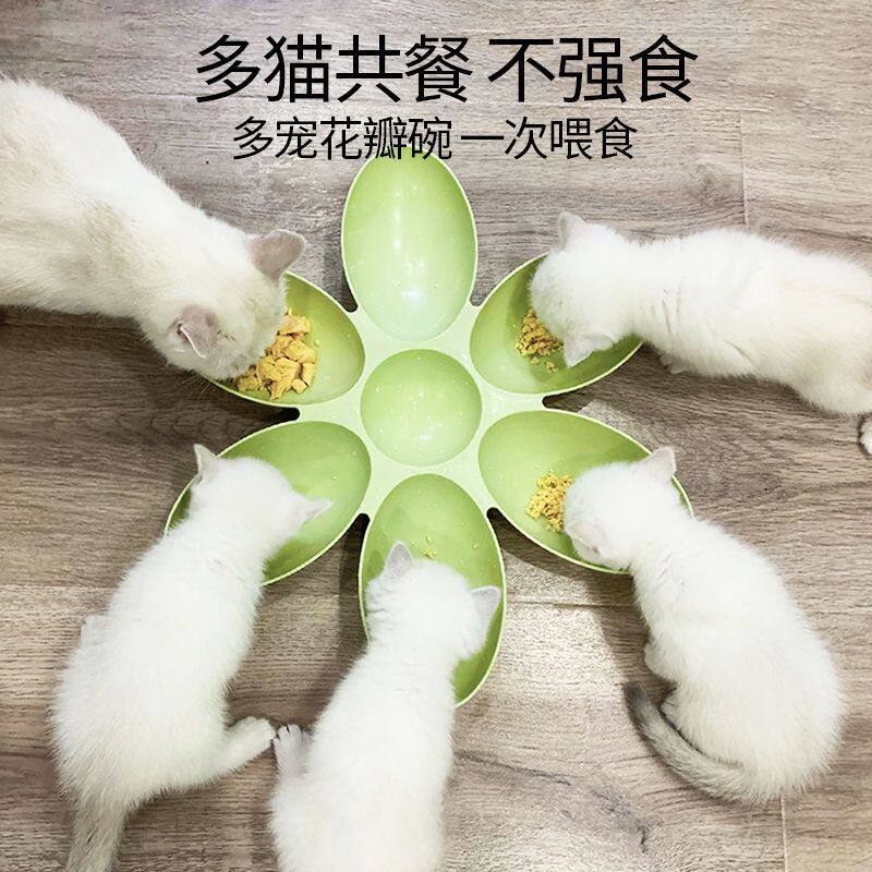 花瓣多猫幼犬家庭宠物喂食食盆幼猫奶猫防滑易洗流浪专用碗