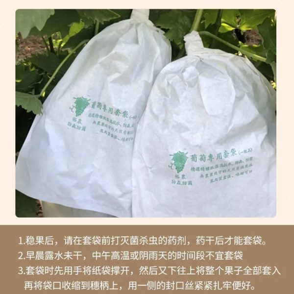 袋水果神器半专用露天套果透明防虫育袋防水袋子袋子葡萄纸袋防雨