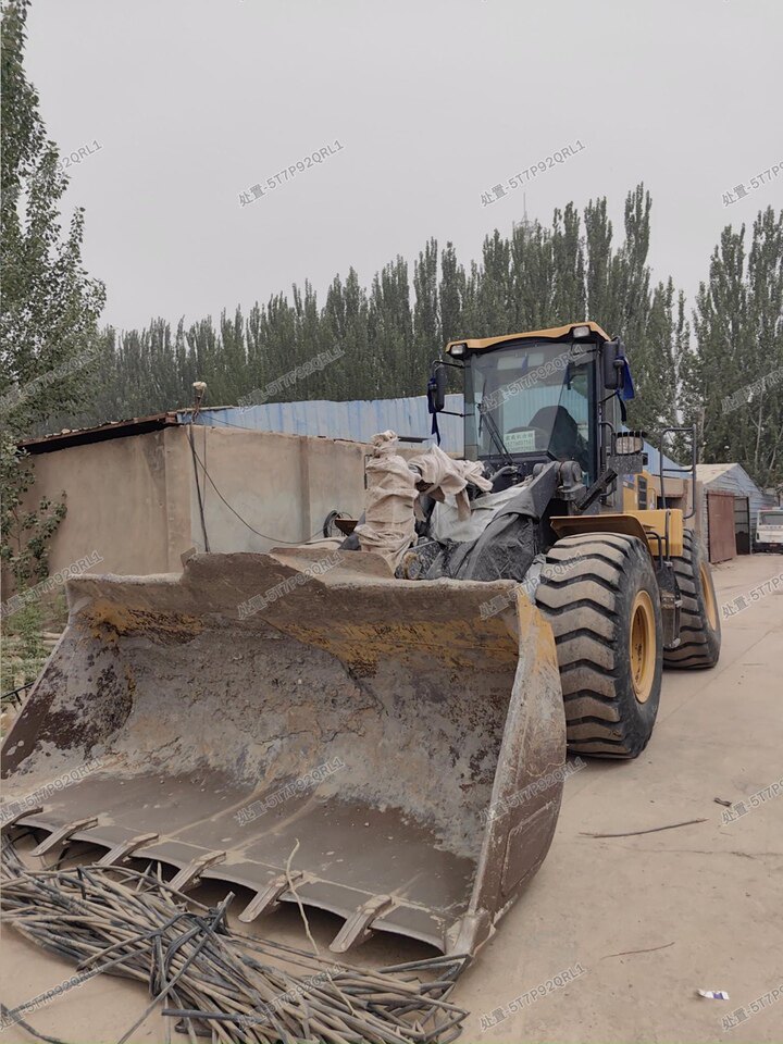 3月25日喀什地区200徐工LW500HV装载机XUG0500HCMCB01069（有农机局牌照买家需自行过户）网络拍卖公告