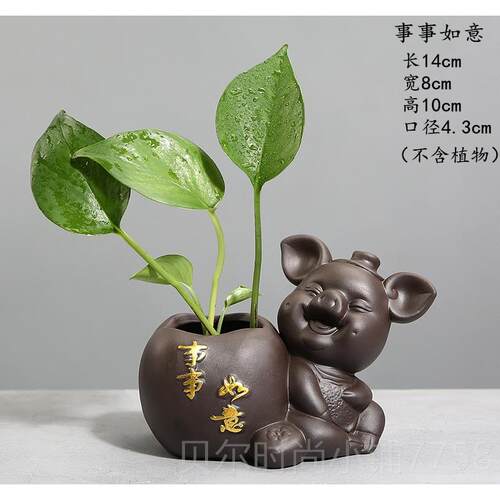 新款创意绿摆水培植物透明饰玻璃花瓶家用客萝厅装件水养插花陶瓷