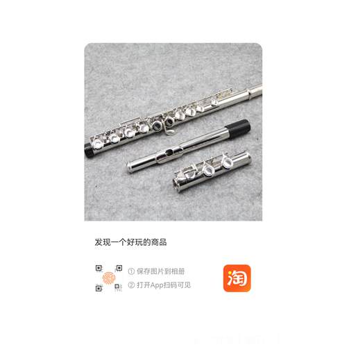 新款6原装正品2孔11SL长笛乐器学初C调1闭镀银长笛乐器笛子初学者
