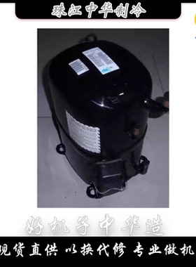 H2NG184DPEF 204DREF 244DREF H2NG294 全新布里斯托制冷压缩机