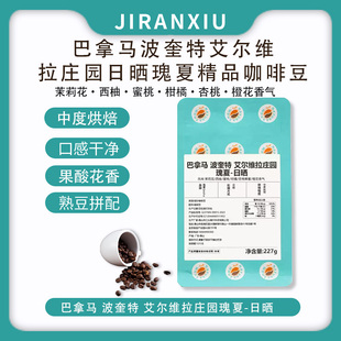 巴拿马波奎特艾尔维拉庄园日晒瑰夏精品中烘焙花香咖啡豆227g