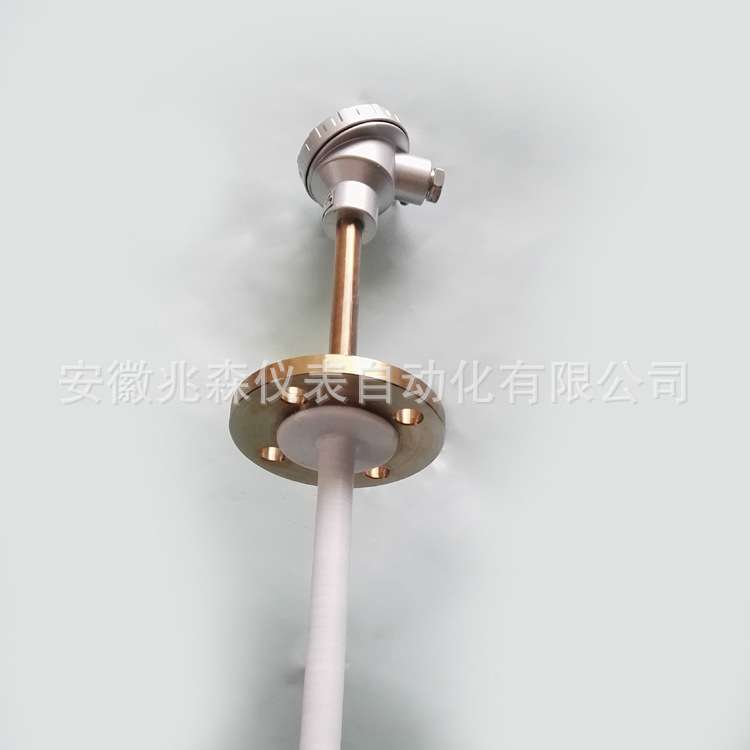 热电阻 烧结四氟热电阻WZPF-430 化工专用四氟热电阻