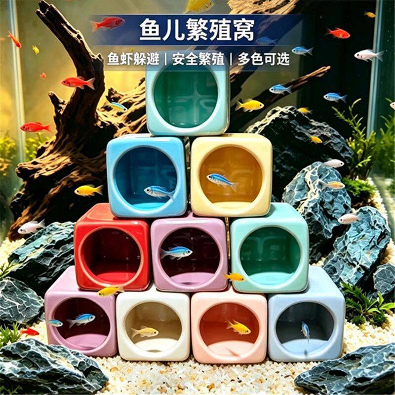鱼虾慈鲷迷你鹦鹉鱼躲避洞水族箱造景摆件鱼缸躲避屋陶瓷繁殖罐