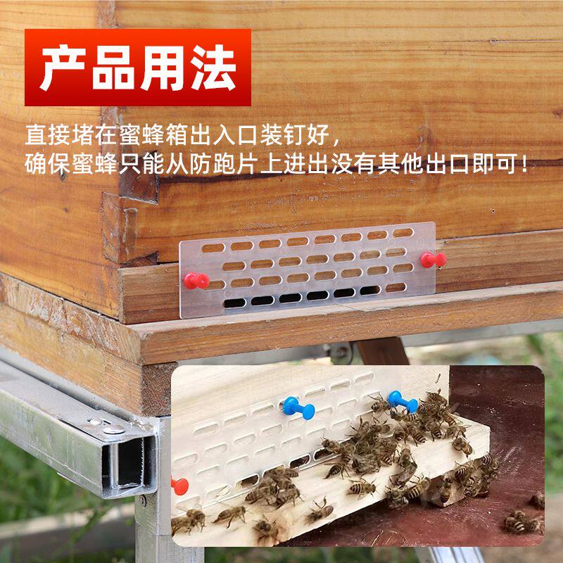 塑料蜂王防逃片中蜂专用蜜蜂箱巢门防跑片可裁剪圆桶格子箱防逃器