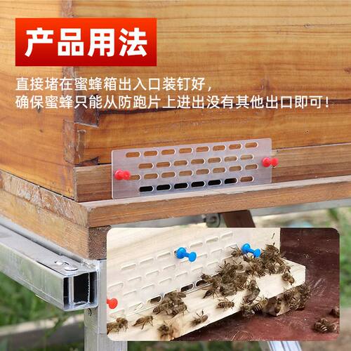 塑料蜂王防逃片中蜂专用蜜蜂箱巢门防跑片可裁剪圆桶格子箱防逃器