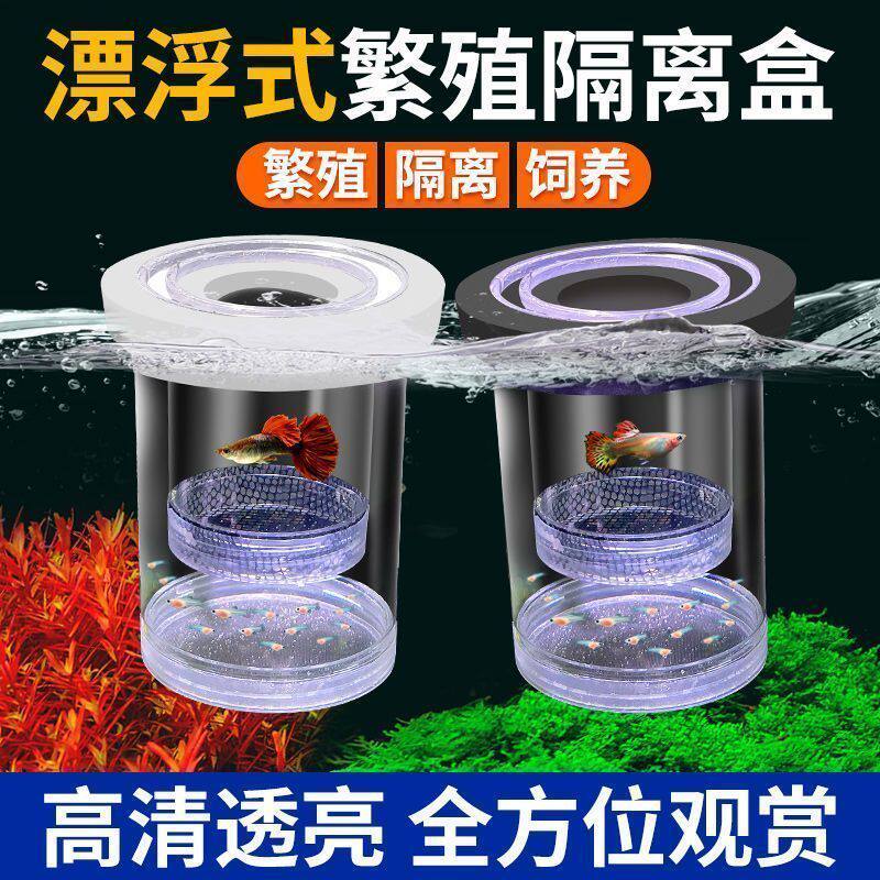 凤尾胎生孔雀鱼隔离网孕母鱼产卵分离器小鱼苗繁殖专用隔离盒
