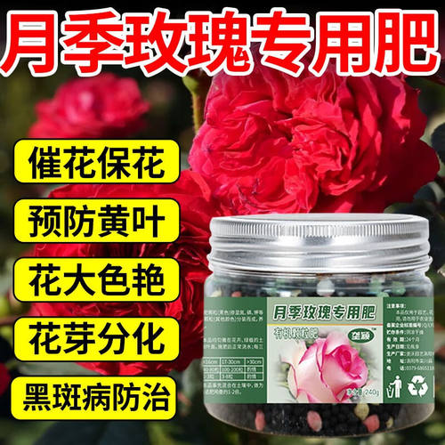 新品月季花d花肥料玫瑰专用肥家用促花专用型盆栽通用有机水溶复