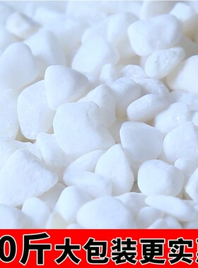 极速铺在花盆上的石子小白石子白色石F头鹅卵石庭院花园铺路铺地