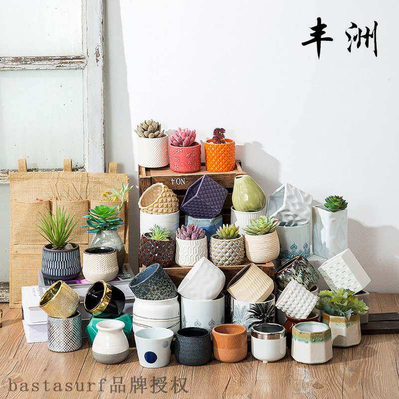 极速2021 New Nordic style simple and fashionablSe succulent