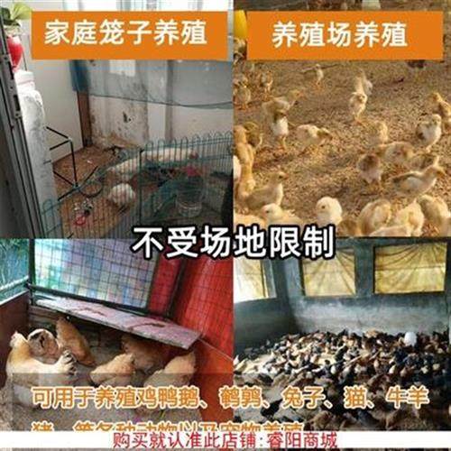 极速鸡舍菌种畜牧用阳台垫料无臭养鸭鹌鹑N养殖场鸡床发粉干撒式,畜牧/养殖物资,饲料添加剂,淘宝优惠券,粉丝福利购,淘宝优惠卷