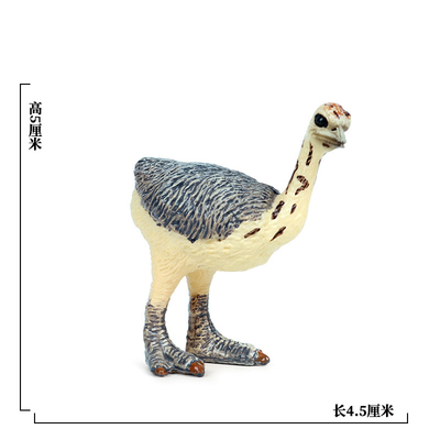 极速Hot Simulation Wild PVC AnimaDl Ostrich Cub Model Action