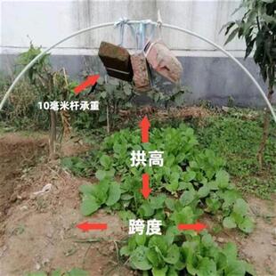 极速菜棚保c温棚骨架家用支架钢管蔬菜冬季花卉大棚种菜蔬菜小拱