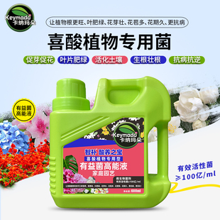 极速植物有益菌i高能液催芽生根营养液通用型家用养花种花肥料